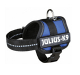 Harnesses, leashes, collars