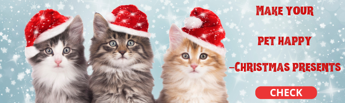 Christmas presents 18.11.2025