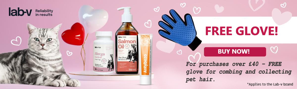 lab-v Valentine's Day 06-02-2026