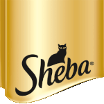 Sheba Sheba