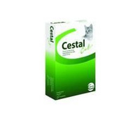 Ceva Animal Health Polska Sp. z o.o. Cestal Cat Flavour 2pc