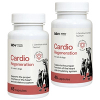 Lab-v Cardio Regeneration – Support for the proper functioning of the heart and circulatory system for dogs and cats 2x45 capsules