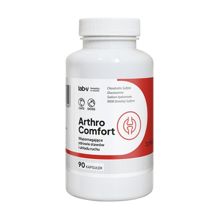 Lab-v Arthro Comfort – Comprehensive support for joint and musculoskeletal health in dogs and cats 2x90 capsules
