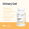 Lab-v Urinary Cat – Urinary tract support for cats 45 capsules