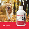 LAB-V Arthrohard 250ml Joint support supplement for dogs and cats