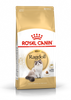 no pork ROYAL CANIN Ragdoll Adult 10kg