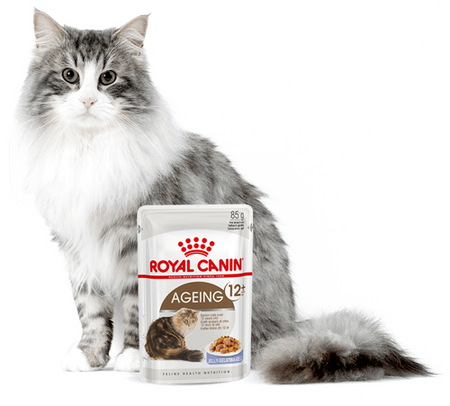 ROYAL CANIN Ageing +12 12x85g wet jelly food for mature cats