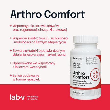 Lab-v Arthro Comfort – Comprehensive support for joint and musculoskeletal health in dogs and cats 45 capsules