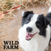 WILD FARM duck sandwich 500g dog treats