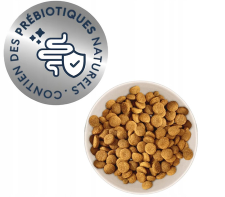 Marly & Dan Adult Dog Large Breed Fresh Salmon Holistic & Hypoallergenic 12kg dry food