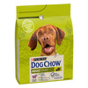 PURINA Dog Chow Adult Lamb 2,5kg