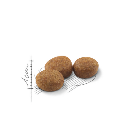 ROYAL CANIN Sterilised 37 400g