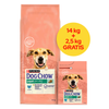 PURINA Dog Chow Adult Light Curcan 16,5kg (14kg+2,5kg GRATIS!!)