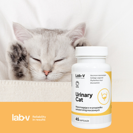 Lab-v Urinary Cat – Urinary tract support for cats 45 capsules