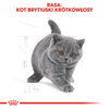 ROYAL CANIN British Shorthair Kitten 2kg dry food for kittens, up to 12 months, British Shorthair breed