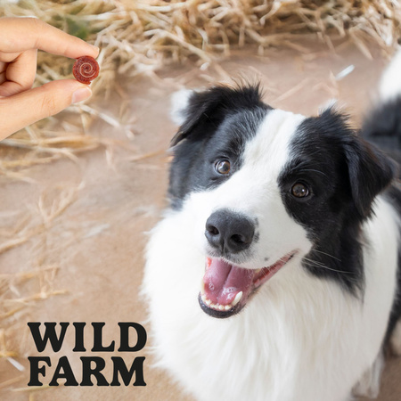 WILD FARM duck roll 500g dog treats