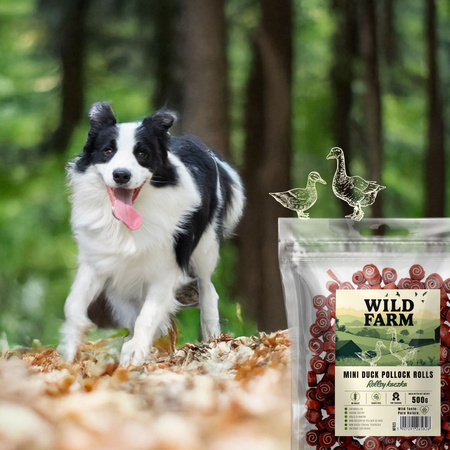 WILD FARM duck roll 500g dog treats