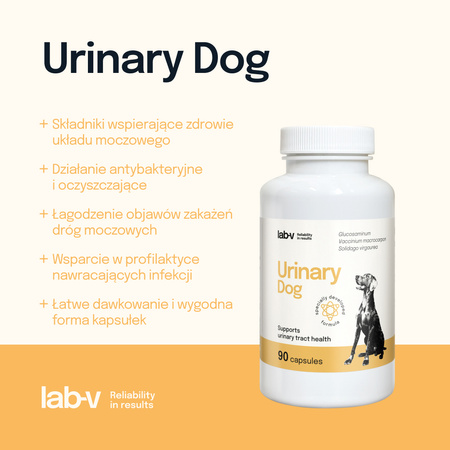 Lab-v Urinary Dog – Support for urinary tract infections in dogs 90 capsules