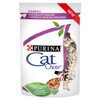 NO PORK Purina Cat Chow Hairball Chicken and Green Beans in Sauce 85g