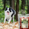 WILD FARM Soft lamb cubes 500g dog treats
