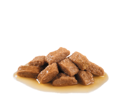 ROYAL CANIN Medium Adult 10x140g