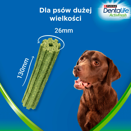 Purina Dentalife Activefresh Large 142g