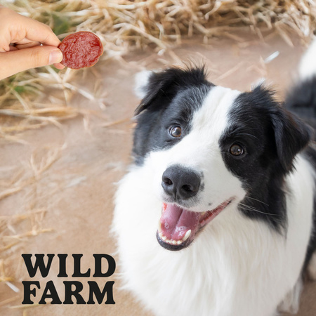 WILD FARM Lamb Chips 500g dog treats