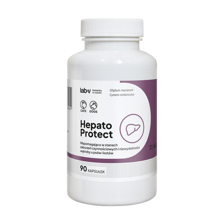 Lab-v Hepato Protect – Liver support for dogs and cats 90 capsules