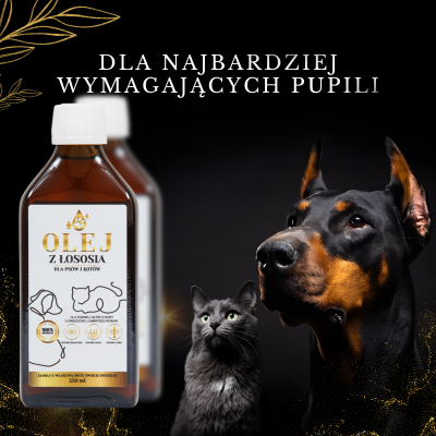 Lab-V 100% Salmon Oil for Dogs and Cats of All Ages 100ml Cold Pressed