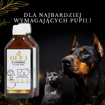 Lab-V 100% Salmon Oil for Dogs and Cats of All Ages 500ml Cold-pressed
