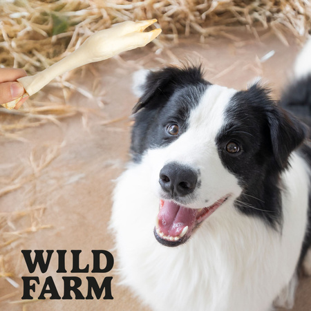 WILD FARM lamb hooves 2x300g dog treats