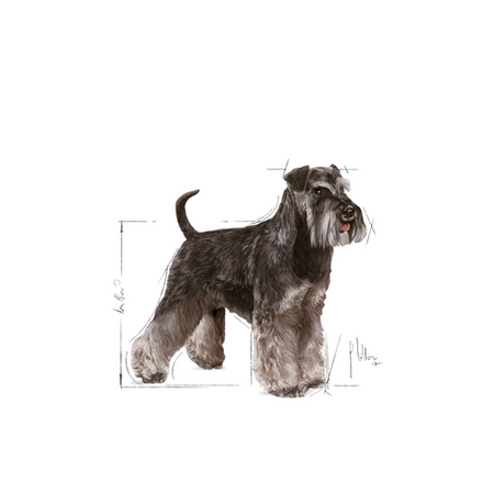 no pork ROYAL CANIN Miniature Schnauzer Adult 7.5kg