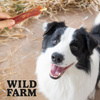 WILD FARM duck breast fillet on a stick 500g dog treat