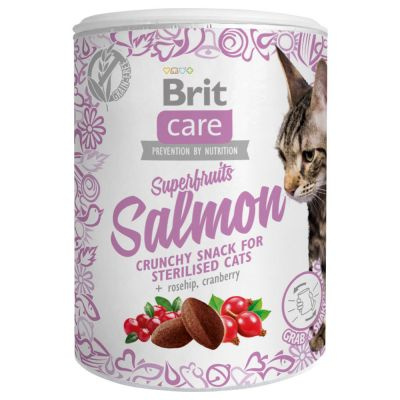 BRIT CARE Cat Snack Superfruits Salmon 6x100g