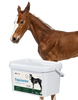 Lab-v EquiJunior Complementary feed mixture for foals, supporting growth, development, and proper nutrition of young horses and ponies 2000g