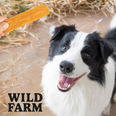 WILD FARM multivitamin yam fillets 500g dog treat