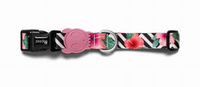 ZEE DOG Mahalo L dog collar