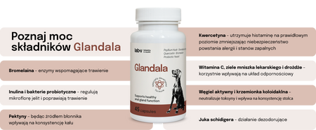 Lab-v Glandala - Supports the proper functioning of the anal glands and digestive tract in dogs 45 capsules