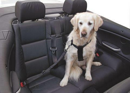 KERBL Safety Belt M for Dogs 50-70cm