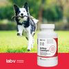 Lab-v Arthro Comfort – Comprehensive support for joint and musculoskeletal health in dogs and cats 2x90 capsules