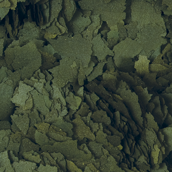 Tropical Super Spirulina Forte 250 ml