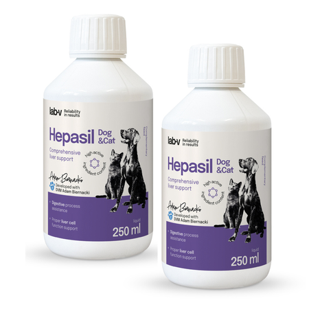 Lab-v Hepasil Dog & Cat preparation for improving liver function in dogs and cats 2x250 ml