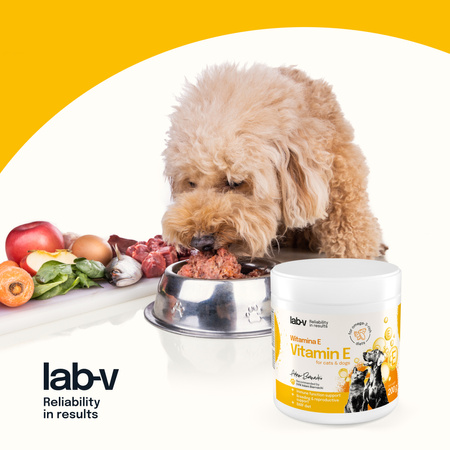 Lab-v Vitamin E – natural antioxidant protection for cells 200 g