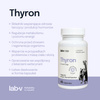 Lab-v Thyron – Support for proper thyroid function for dogs and cats 45 capsules