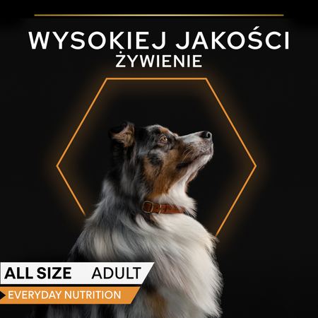 PRO PLAN Everyday Nutrition Adult Dog Food Rich in Fish in Jelly 400g