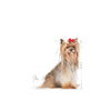 ROYAL CANIN Yorkshire Terrier Adult 8+ 1.5kg