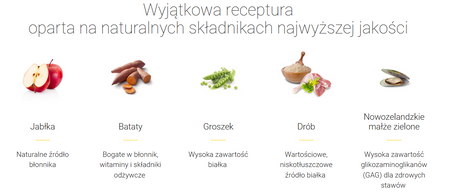 JOSERA Medi/Maxi Chicken & Sweet Potato 12,5kg