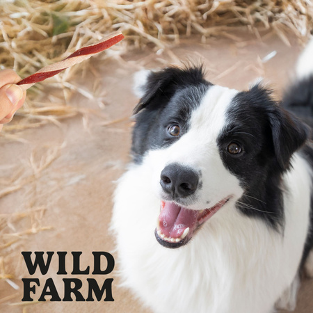 WILD FARM duck sandwich 500g dog treats