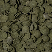 Tropical Green Algae Wafers 250ml