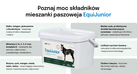 Lab-v EquiJunior Complementary feed mixture for foals, supporting growth, development, and proper nutrition of young horses and ponies 2000g